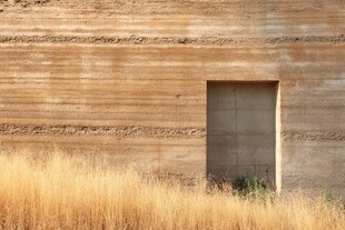 黄土墙前的金黄野草