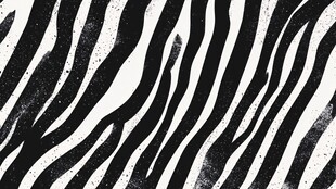 黑白斑马纹图案纹理