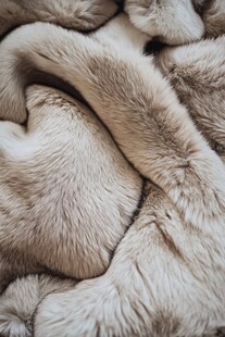 柔软毛绒织物特写