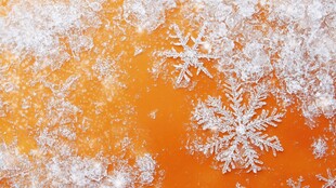 橙色背景上的精致雪花