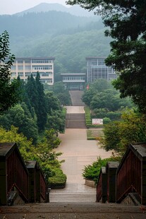 山林间的校园阶梯美景