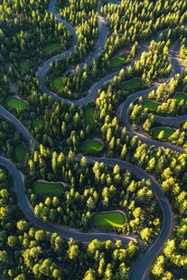空中俯瞰蜿蜒的森林公路