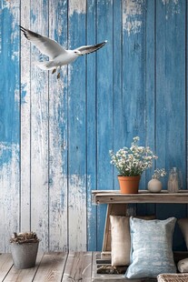 蓝白木墙前的闲适角落