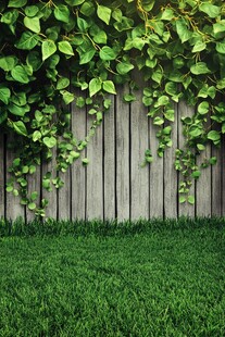 绿叶爬满的木质围栏草地