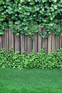 木栅栏旁的翠绿植物景观