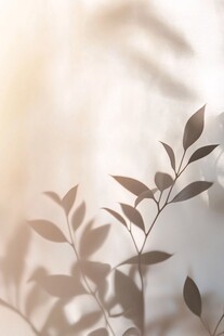 光影下的枝叶剪影