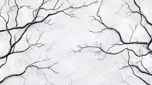 水墨风枯树枝纹理背景图