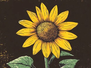 手绘向日葵插画艺术图