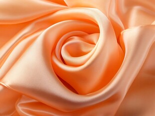 柔美桃色丝绸玫瑰纹理