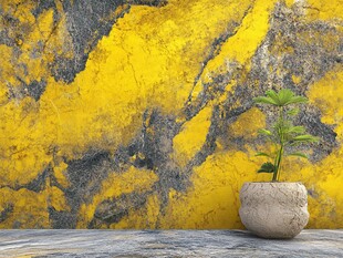 黄灰墙面旁的生机盆栽