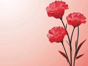 三朵艳丽红色康乃馨插画