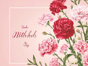 母亲节康乃馨花卉背景图