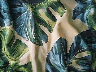 热带龟背竹叶布料图案