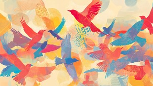 群鸟飞舞的多彩梦幻图景