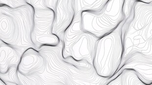 灰白线条勾勒的抽象地形图