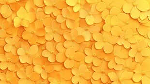 黄色花瓣铺满画面