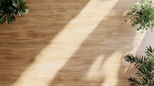 木地板上的绿植光影