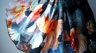 花卉金鱼印花美丽裙摆