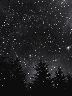 森林之上璀璨星空夜景
