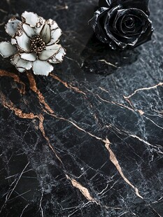 黑白花卉配大理石纹理