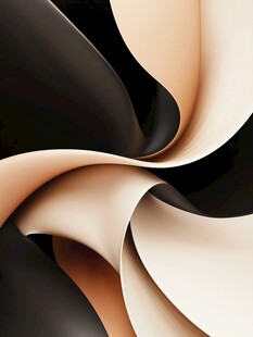 黑白棕三色抽象卷曲图案