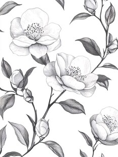 黑白山茶花花卉图案设计