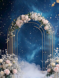 梦幻星空下的花卉拱门