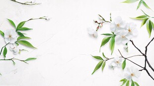 白色花枝背景图