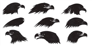 多款雄鹰头部图案