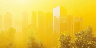 金色阳光中的城市与绿树