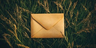 草地上的复古信封