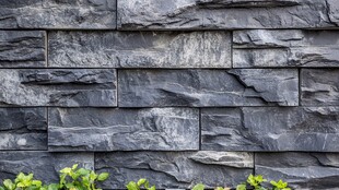 灰色石砌墙面绿植点缀