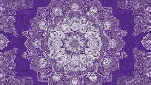 紫色曼陀罗花纹理图案