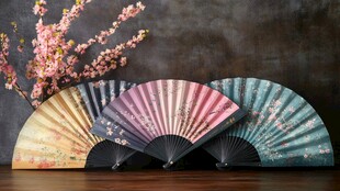 古风折扇与烂漫花枝组合