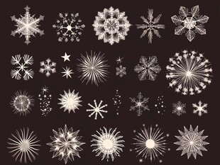 多样精美雪花图案集合