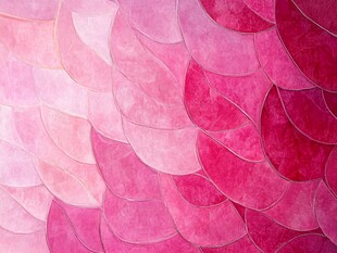 粉色渐变鱼鳞纹理背景图