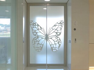 蝴蝶图案玻璃门