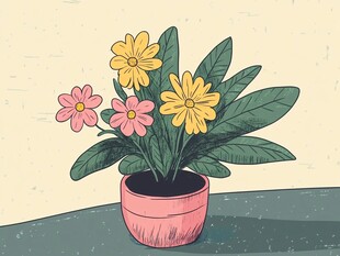 盆栽花卉插画
