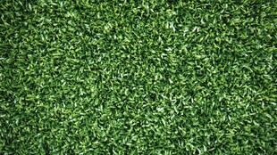 翠绿人造草坪纹理特写