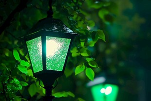 夜幕下的绿光路灯与绿叶