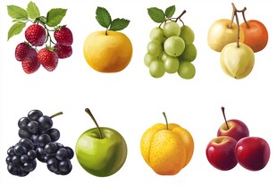 多样新鲜水果插画展示