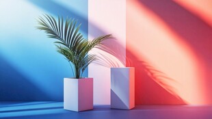 彩色背景下的简约植物摆件