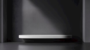 简约黑白风展示平台