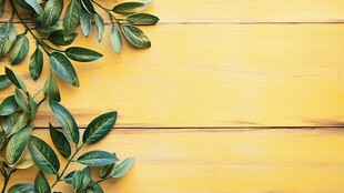 黄色木板上的翠绿枝叶