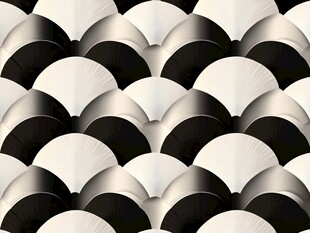 黑白扇形几何图案纹理