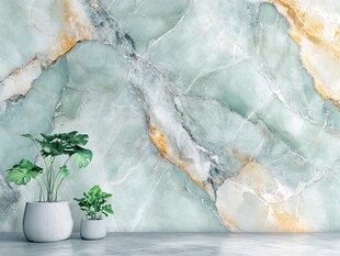 清新大理石背景墙配绿植