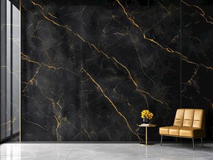 黑金大理石墙面与时尚座椅