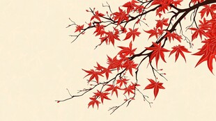 红枫枝头绽 尽显秋韵美