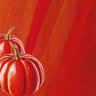 双红南瓜置于暖色背景中