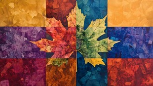 多彩拼接中的枫叶艺术